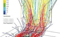 The illustrated simulation results provide information for optimizing the capture.