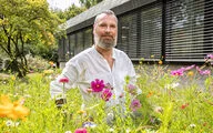 Our gardener has planted bee-friendly wildflower meadows on our company premises.