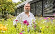 Our gardener has planted bee-friendly wildflower meadows on our company premises.